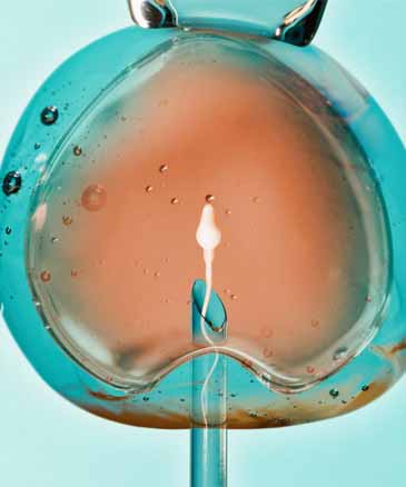 a close-up of a sperm